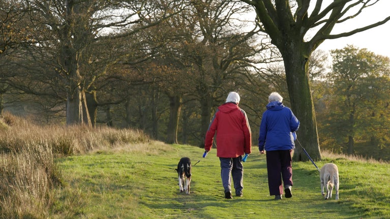 Two people walk along Green Drive with two dogs on their leads framed by trees on either side.